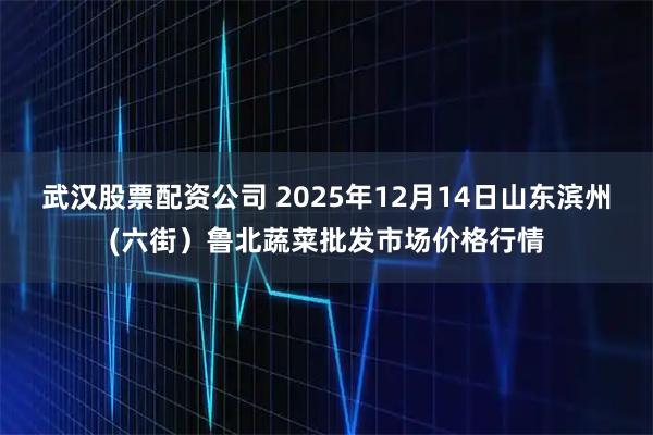 武汉股票配资公司 2025年12月14日山东滨州(六街）鲁北蔬菜批发市场价格行情