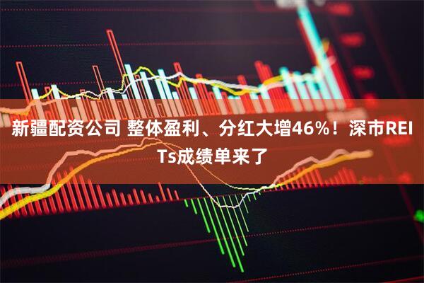 新疆配资公司 整体盈利、分红大增46%！深市REITs成绩单来了